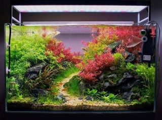 (Category: ) located in . Submitted by ascape (Listing ID 1409334147, Image 1). Description: .