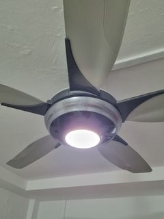 (Category: ) located in . Submitted by adtay (Listing ID 1409339757, Image 1). Description: .