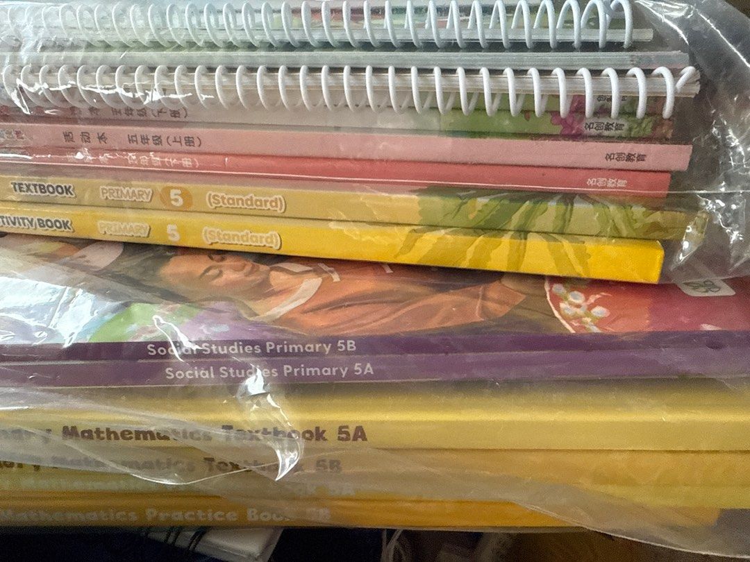 P5 all compulsory Textbooks and workbook and Chinese as a set (all ...