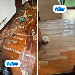 (Category: ) located in . Submitted by polishing_master (Listing ID 1409374372, Image 1). Description: .