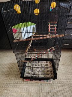 (Category: ) located in . Submitted by jscc7 (Listing ID 1409444803, Image 1). Description: .