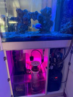 (Category: ) located in . Submitted by happy0002 (Listing ID 1409458191, Image 1). Description: .