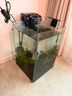 (Category: ) located in . Submitted by sukayomiko (Listing ID 1409530297, Image 1). Description: .