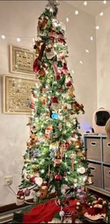 (Category: ) located in . Submitted by panufa (Listing ID 1409443522, Image 1). Description: .