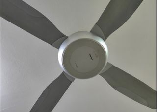 (Category: ) located in . Submitted by kl (Listing ID 1409568643, Image 1). Description: .