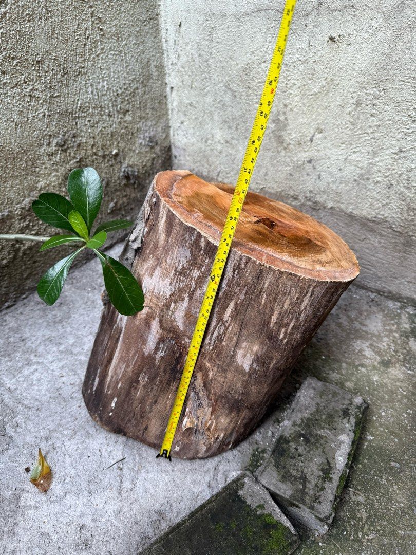 Wood Logs (4pcs) - Decorative Piece (Category: Home Improvement Tools & Accessories) located in Cainta. Submitted by yarhtennek (Listing ID 1409454490, Image 1). Description: FREE Pick up at your own expense. No reservations. First come, first serve..