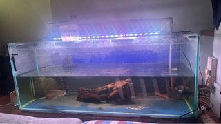 (Category: ) located in . Submitted by mehll (Listing ID 1409798922, Image 1). Description: .