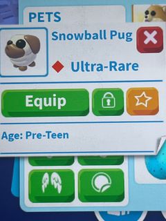 （分類：）位於 。 由 adoptme.store 提交（商品編號 1409635510，圖片 1）。簡介： 。