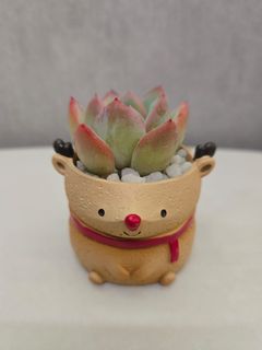 （分類：）位於 。 由 takerkan 提交（商品編號 1409785746，圖片 1）。簡介： 。
