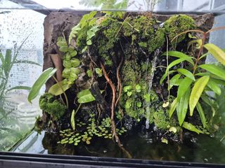 (Category: ) located in . Submitted by hermanquah (Listing ID 1409701594, Image 1). Description: .