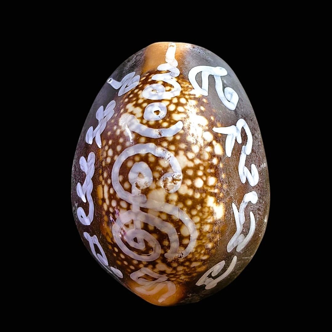 [$39] Bia Gae Shell Amulet/Biagae Cowry Shell with Takrut, Gemstones ...