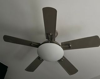(Category: ) located in . Submitted by keekellen1192 (Listing ID 1409973987, Image 1). Description: .