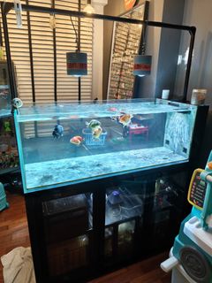 (Category: ) located in . Submitted by fisher88 (Listing ID 1410054276, Image 1). Description: .