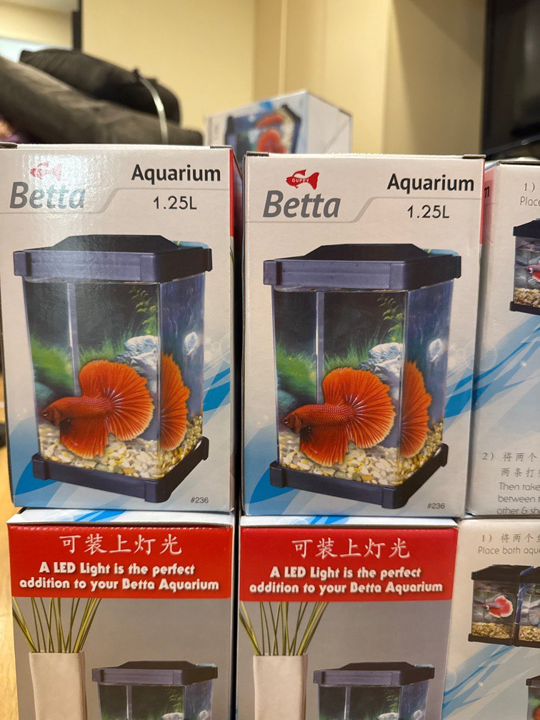 $5 BNIB Guppy betta plastic tank 1.25L with cover (GEX ocean free ...