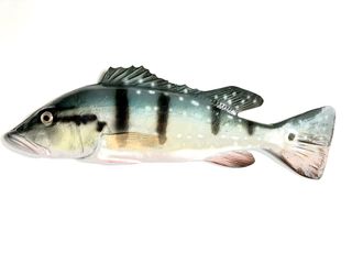 (Category: ) located in . Submitted by fishdecor.sg (Listing ID 1410034385, Image 1). Description: .