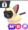 (Category: ) located in . Submitted by staresq (Listing ID 1410003186, Image 1). Description: .