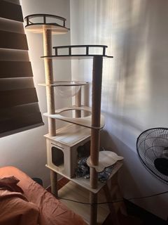 (Category: ) located in . Submitted by gelxvii (Listing ID 1410049867, Image 1). Description: .