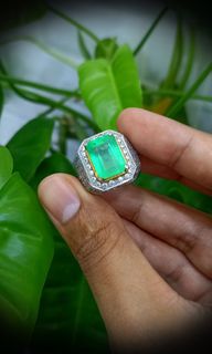 (Category: ) located in . Submitted by asyrof_ruslan (Listing ID 1408537065, Image 1). Description: .