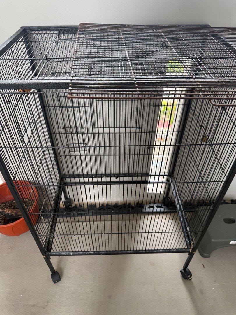 Photo inspiration: Big Bird Cage Pet Supplies Homes Other Pet Accessories On Photo Inspiration
