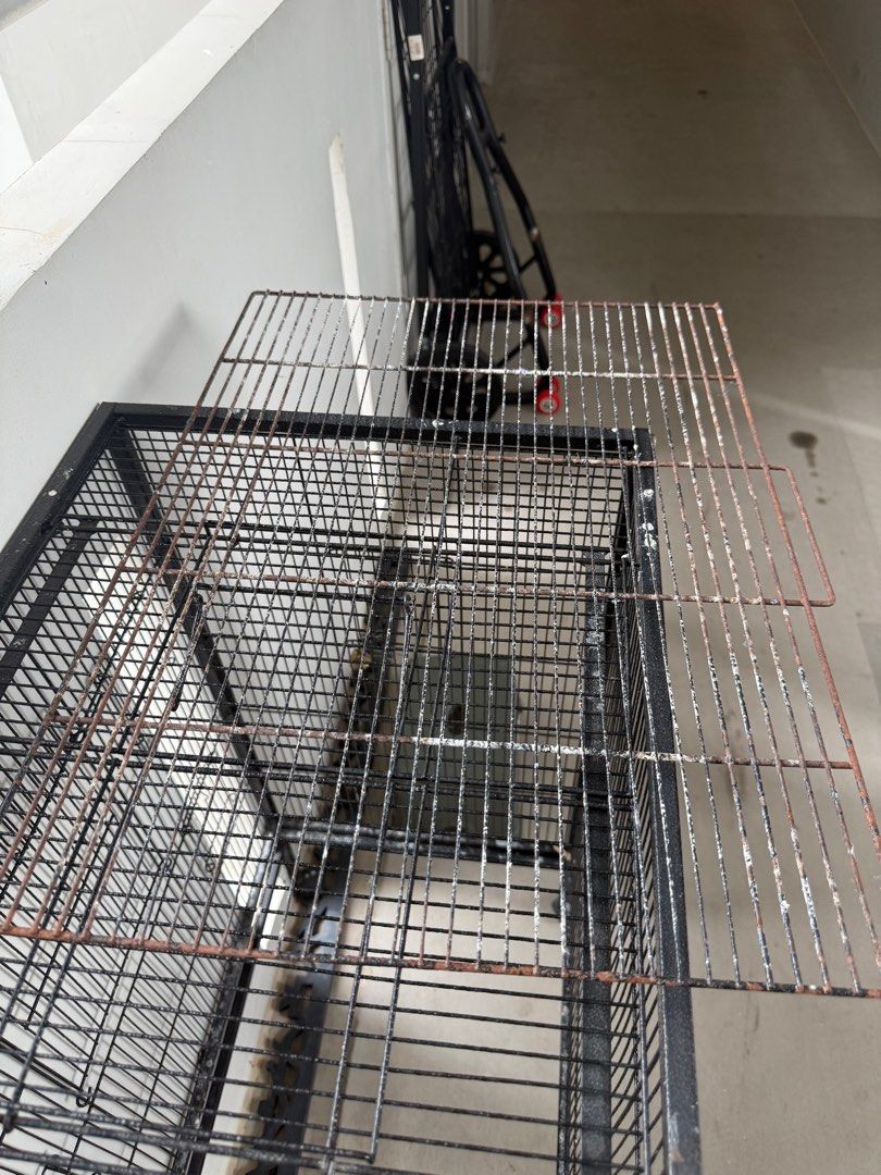 Visual Reference: Big Bird Cage Pet Supplies Homes Other Pet Accessories On
