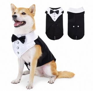 (Category: ) located in . Submitted by whaleevasion (Listing ID 1410309618, Image 1). Description: .