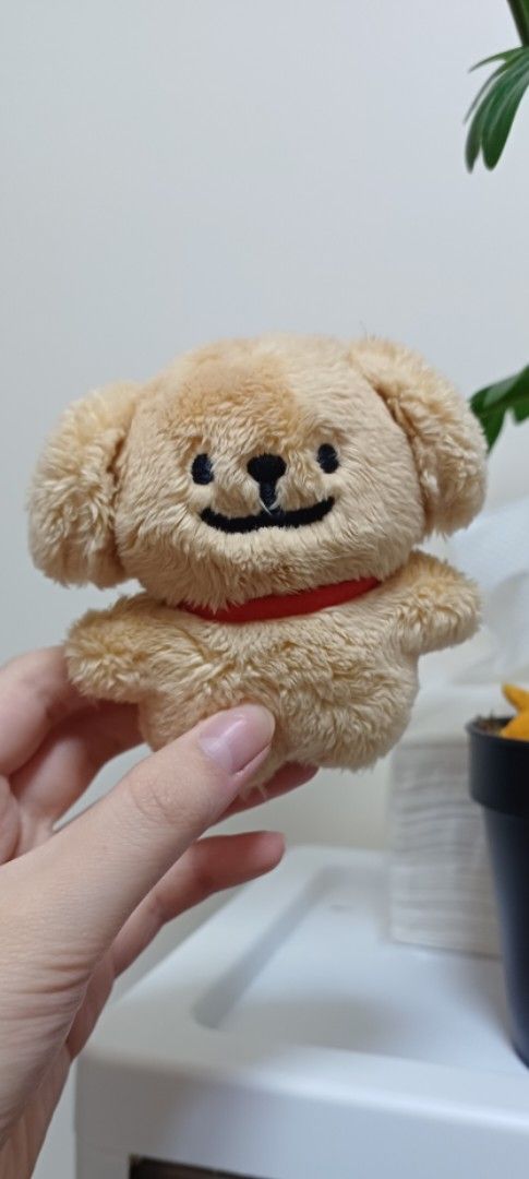 Brown Dog Plushie (Maltese plush) (Category: Plushies & Soft Toys) located in Manila. Submitted by poptoyph01700 (Listing ID 1410263779, Image 1). Description: .