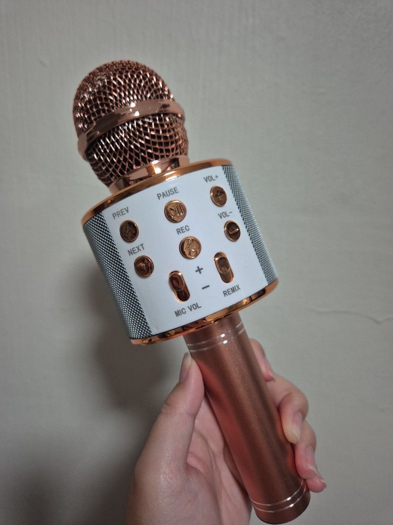 Karaoke Microphone65075523206401110