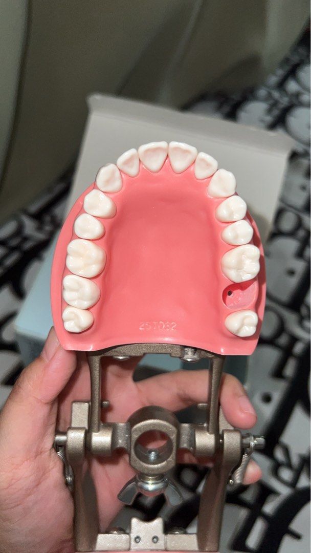 Trimunt Articulator (Category: Medical Supplies & Tools) located in Rodriguez. Submitted by dyancc (Listing ID 1410218302, Image 2). Description: - Dental model with upper and lower teeth arches - Features a pink gum base - Mounted on a sturdy metal stand - Perfect for educational purposes or demonstrations.