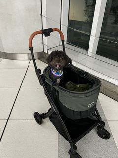 （分類：）位於 。 由 maybelmay 提交（商品編號 1410317039，圖片 1）。簡介： 。
