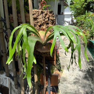 (Category: ) located in . Submitted by imat (Listing ID 1410282235, Image 1). Description: .