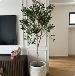 (Category: ) located in . Submitted by furnishstudio (Listing ID 1410227012, Image 1). Description: .
