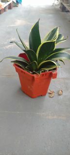 (Category: ) located in . Submitted by mostvalue (Listing ID 1410296874, Image 1). Description: .