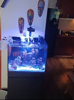 (Category: ) located in . Submitted by clearingspac3 (Listing ID 1410567048, Image 1). Description: .