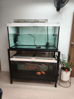 (Category: ) located in . Submitted by limal (Listing ID 1407429243, Image 1). Description: .