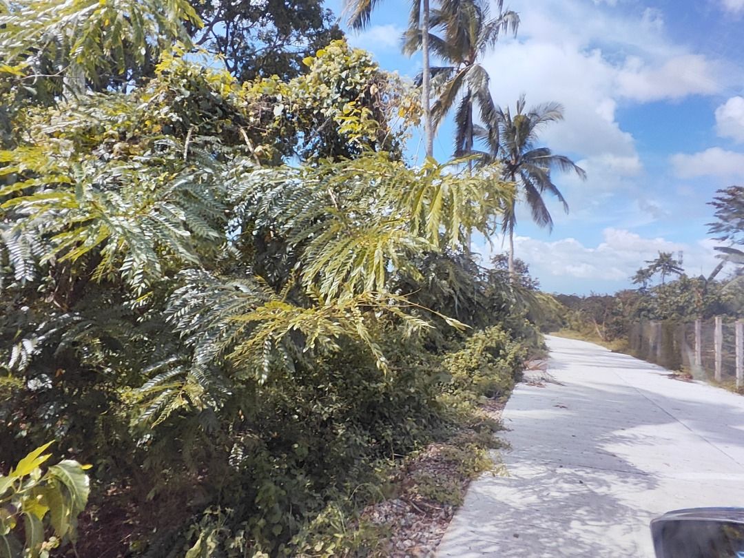Farm lot for sale (Category: Lot) located in Paranaque City. Submitted by mallowri (Listing ID 1407546715, Image 2). Description: Farm lot for sale (w/ tax dec) Indang Cavite Tagaytay weather 15 mins to Tagaytay 15 mins to SM/Waltermart Trece Very convenient With 2 way access road Total Area: 1081 sqm. 3.3k per square (neg.) PM me or contact 0.9.2.6.6.9.8.4.2.6.6..