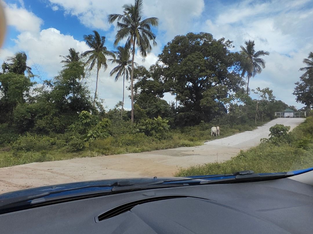 Farm lot for sale (Category: Lot) located in Paranaque City. Submitted by mallowri (Listing ID 1407546715, Image 1). Description: Farm lot for sale (w/ tax dec) Indang Cavite Tagaytay weather 15 mins to Tagaytay 15 mins to SM/Waltermart Trece Very convenient With 2 way access road Total Area: 1081 sqm. 3.3k per square (neg.) PM me or contact 0.9.2.6.6.9.8.4.2.6.6..