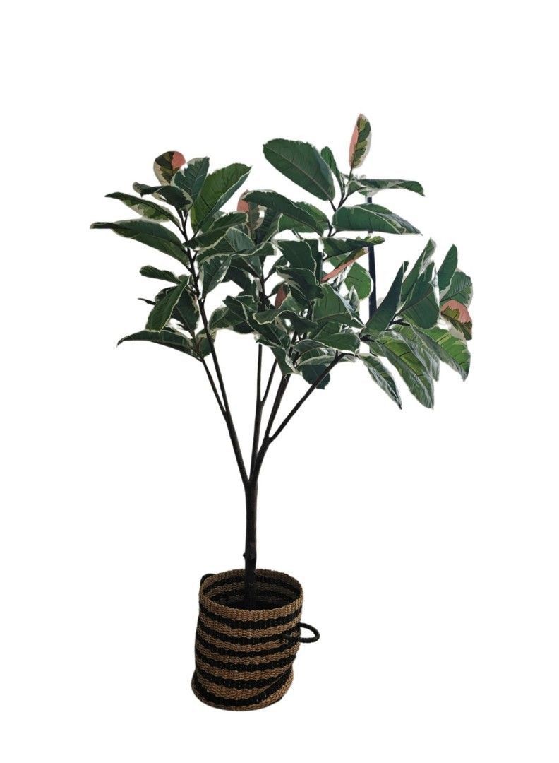 Ikea Artificial Plant Fijka (Category: Plants & Seeds) located in Manila. Submitted by rbpangeles0315 (Listing ID 1407555373, Image 1). Description: Lifelike artificial plant that remain just as fresh-looking year after year. Perfect if you can’t have a live plant, but still want to enjoy the beauty of nature. Goes just as well at home in the living room or bathroom as on the balcony or in the home office. Perfect when you have better things to d