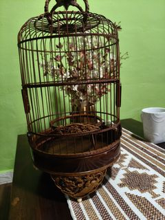 (Category: ) located in . Submitted by birdstuff72 (Listing ID 1407490392, Image 1). Description: .