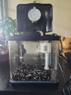 (Category: ) located in . Submitted by lilcheng (Listing ID 1410731369, Image 1). Description: .