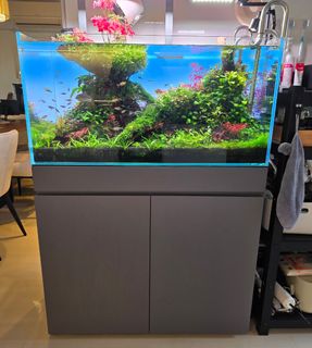 (Category: ) located in . Submitted by palamont (Listing ID 1410858646, Image 1). Description: .