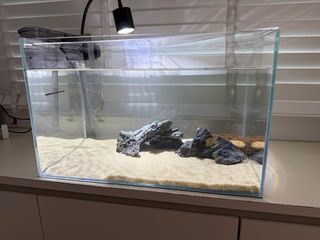 (Category: ) located in . Submitted by beckts (Listing ID 1410623983, Image 1). Description: .