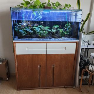 (Category: ) located in . Submitted by cz_carousel (Listing ID 1410720760, Image 1). Description: .