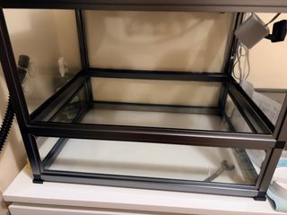 （分類：）位於 。 由 youngstar.4bbf1a 提交（商品編號 1410749128，圖片 1）。簡介： 。