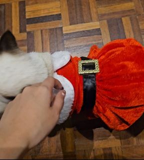 (Category: ) located in . Submitted by ifyouneedanything (Listing ID 1410795103, Image 1). Description: .