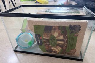 (Category: ) located in . Submitted by littlecutefish (Listing ID 1410969548, Image 1). Description: .