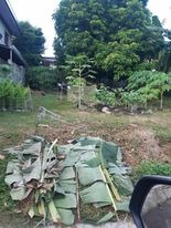 (Category: ) located in . Submitted by mariaelena.npacunayen (Listing ID 1410909902, Image 1). Description: .