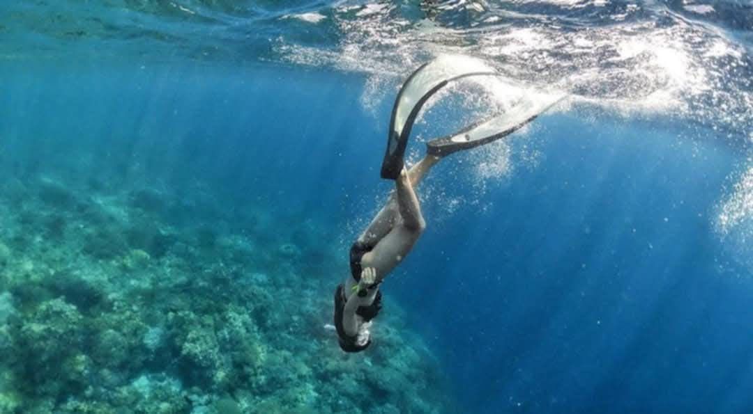 Wave Flippers with Bag (Category: Water Sports) located in Manila. Submitted by fiercemoon-a25a79 (Listing ID 1411108636, Image 2). Description: Selling my Blade Free diving Fins Used once (cebu trip) Size 36-38 Selling low.