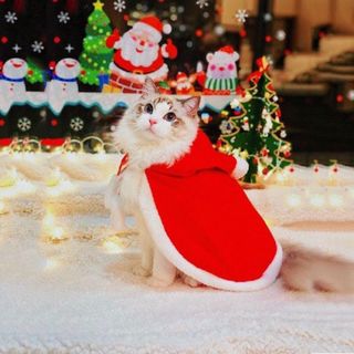 （分類：）位於 。 由 BandTstore 提交（商品編號 1411401078，圖片 1）。簡介： 。