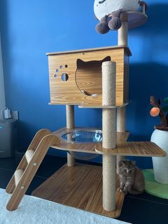 (Category: ) located in . Submitted by hojichalattenosugar (Listing ID 1411345009, Image 1). Description: .