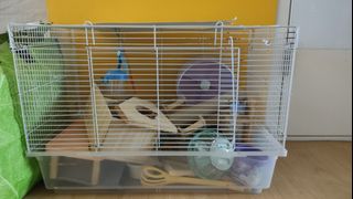 (Category: ) located in . Submitted by zhang.ping.7921 (Listing ID 1411363664, Image 1). Description: .
